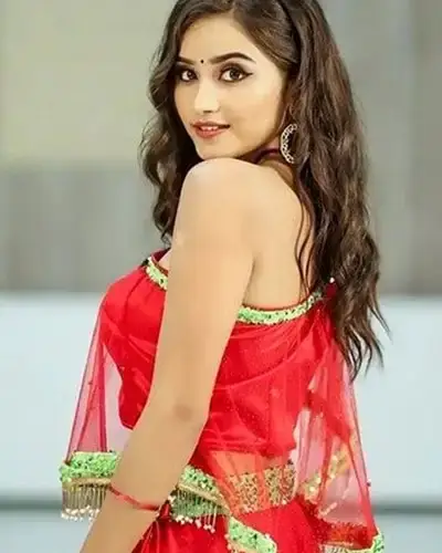 Call Girls Service Narsipatnam